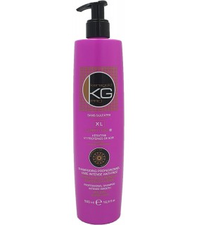 Shampooing XL Liss sans...